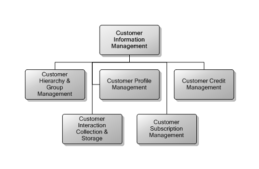 5.1 Customer Information Management