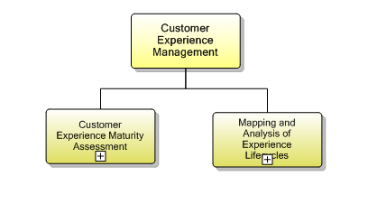 1.3.2 Customer Experience Management