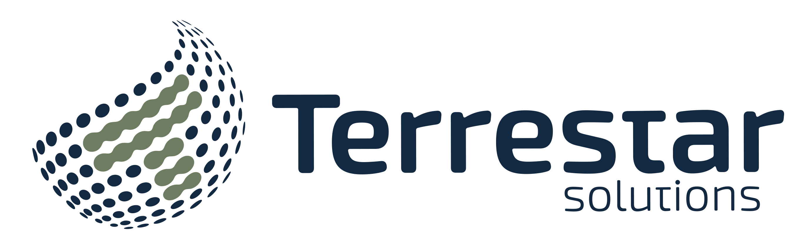 TerreStar Solutions Inc. DBA Strigo