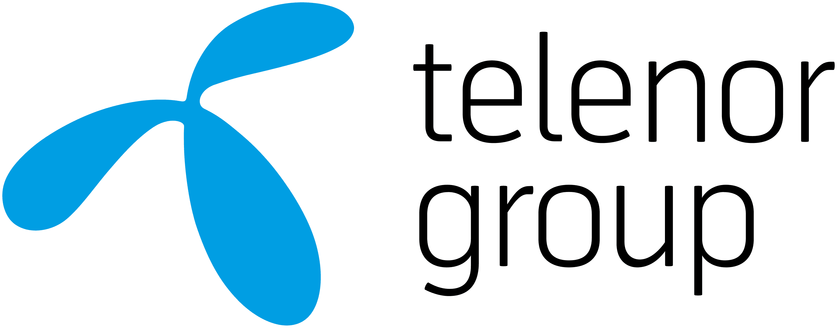 IT Director, Telenor