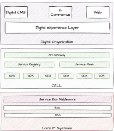vodafone key takeaways case study