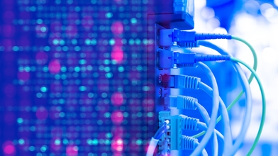 blue purple data center cables