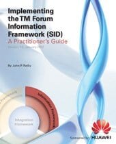 Implementing the TM Forum Information Framework (SID)