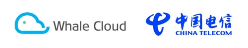 Whale-Cloud-Technology-Co.Ltd-China-Telecom