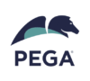 Pegasystems, Inc.