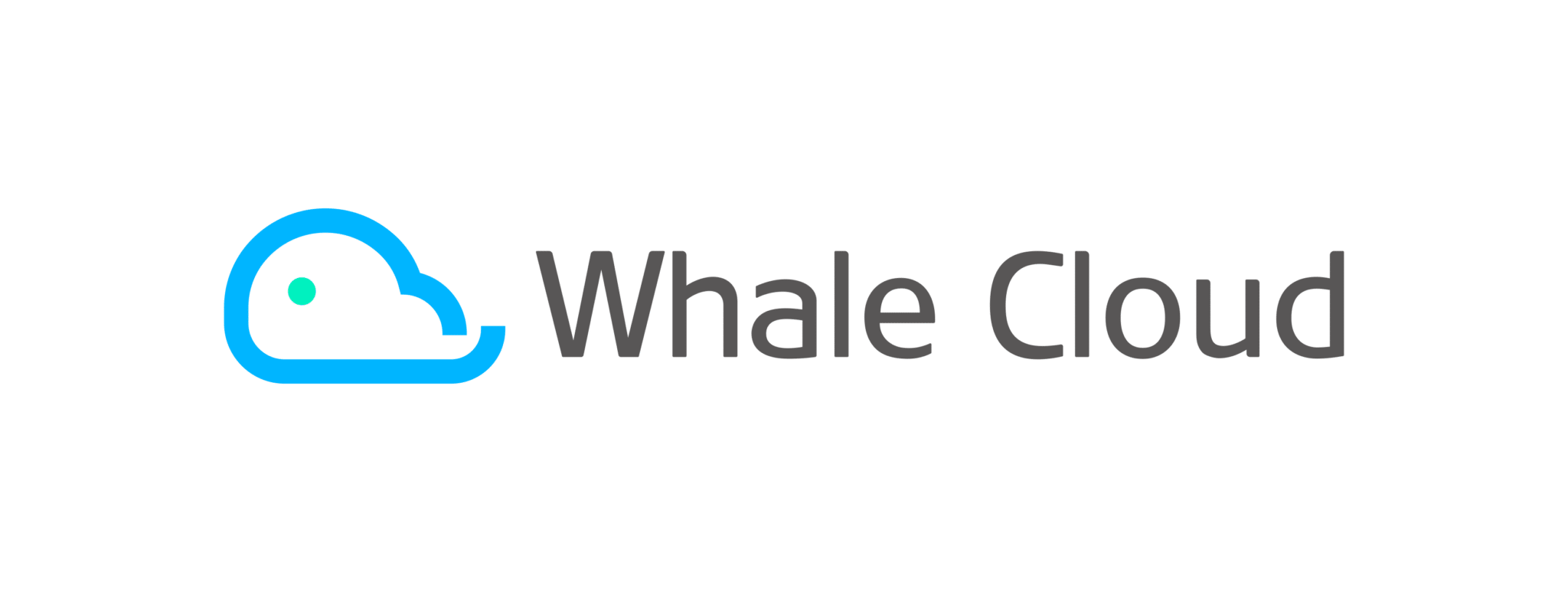 Whale Cloud logo