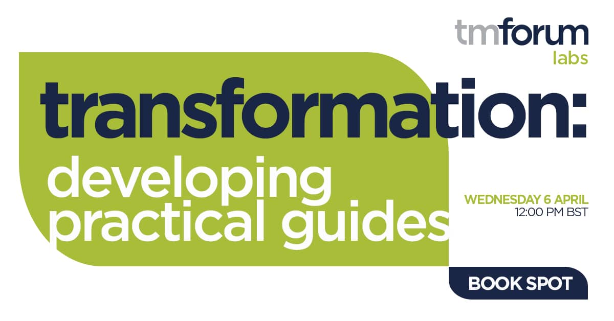 Transformation: developing practical Guides